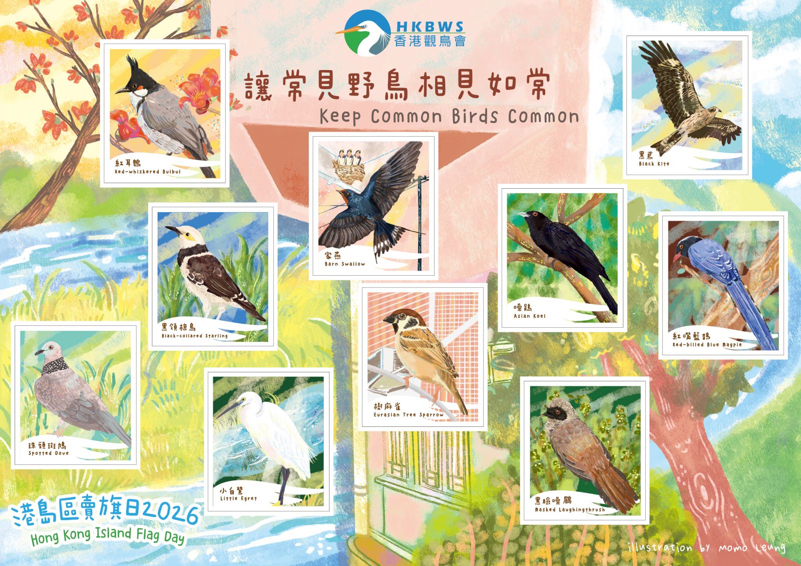 香港觀鳥會 港島區賣旗日 雀鳥插畫及設計商業合作