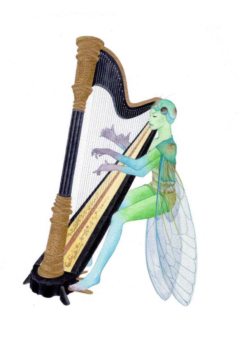 Symphony - Harp