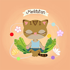 The magic of meditation