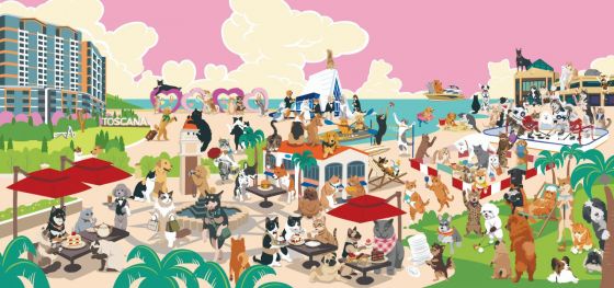 Discovery Bay Daily