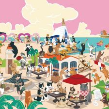 Discovery Bay Daily
